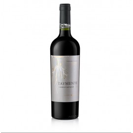 2019 ”Taymente” Cabernet Sauvignon, száraz, 14%, Huarpe, 750 ml